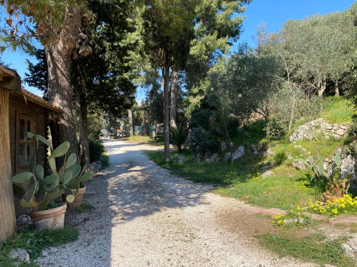 Villa Paradisino Orbetello Extérieur photo