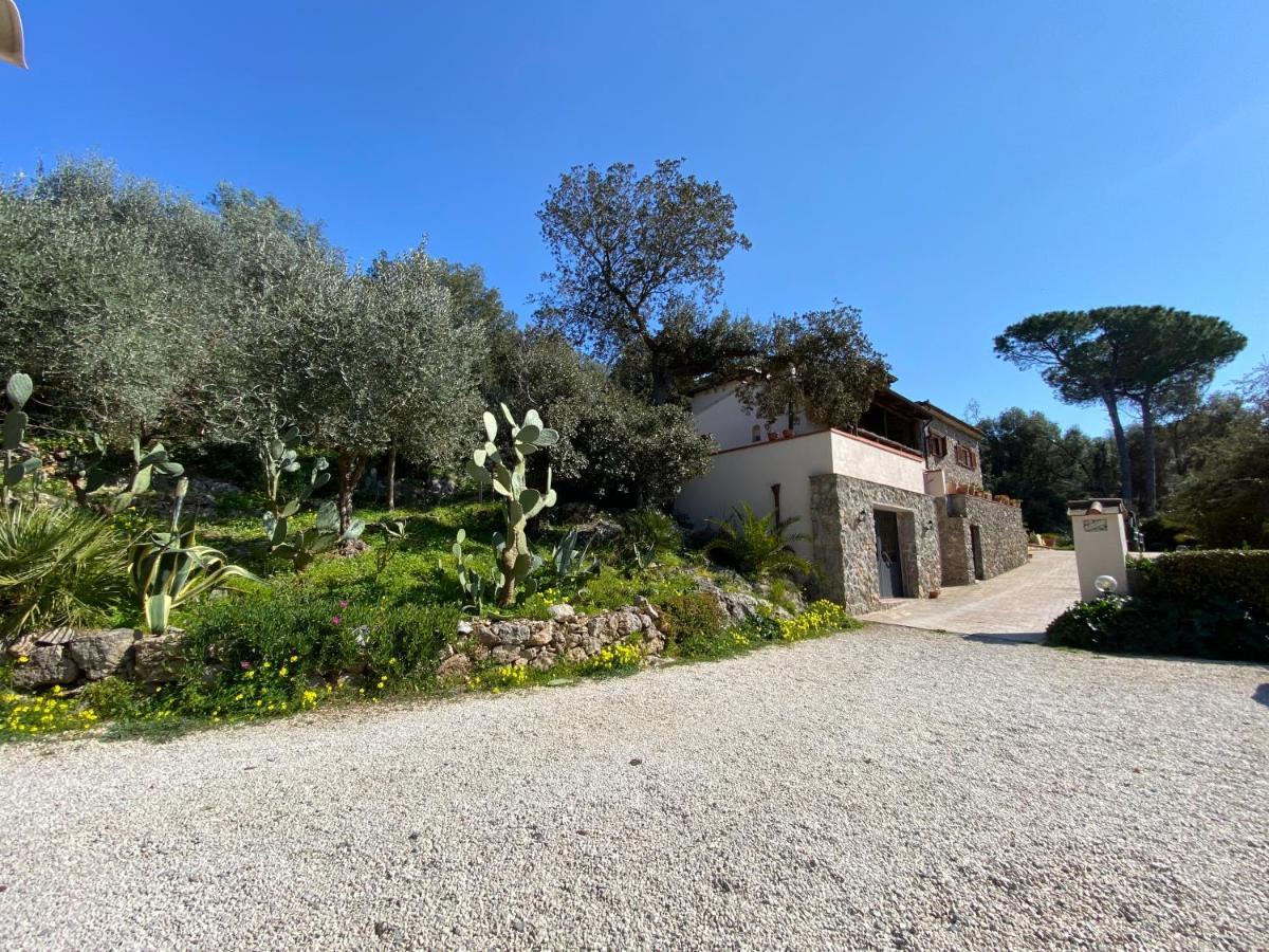 Villa Paradisino Orbetello Extérieur photo