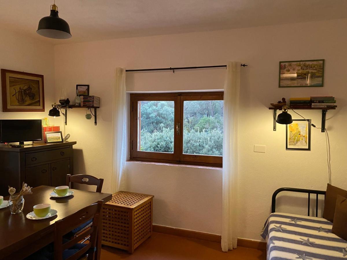 Villa Paradisino Orbetello Extérieur photo