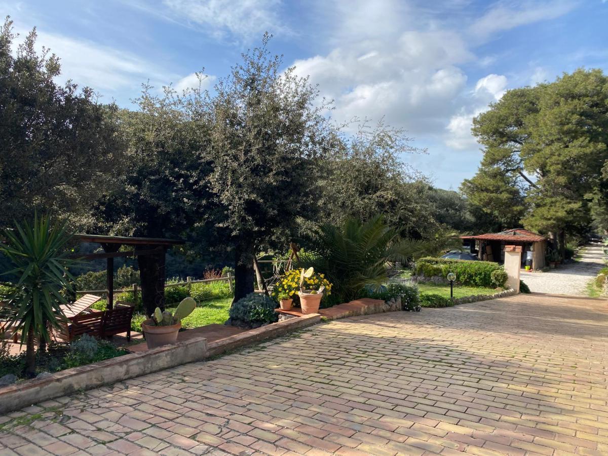 Villa Paradisino Orbetello Extérieur photo