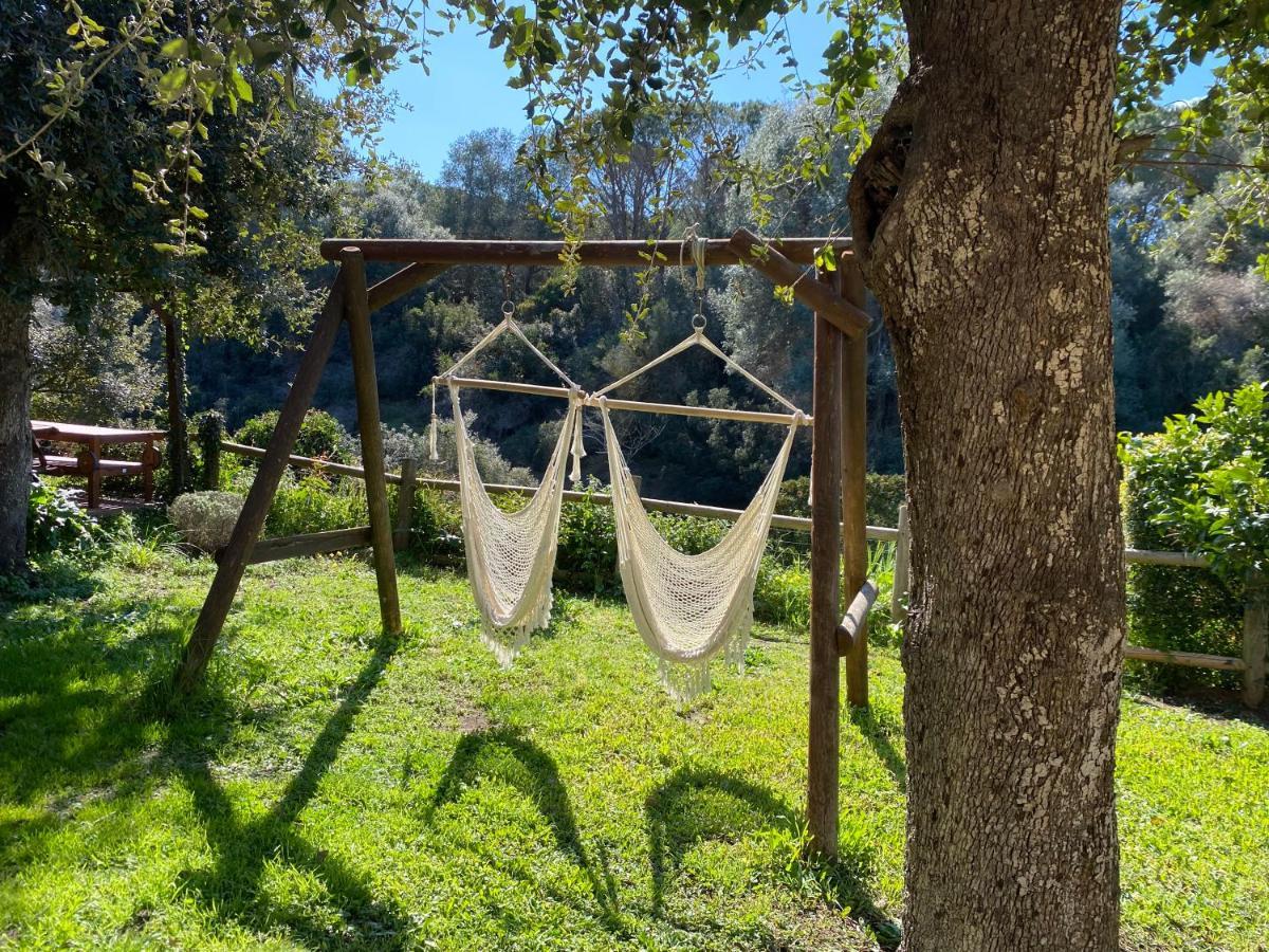 Villa Paradisino Orbetello Extérieur photo