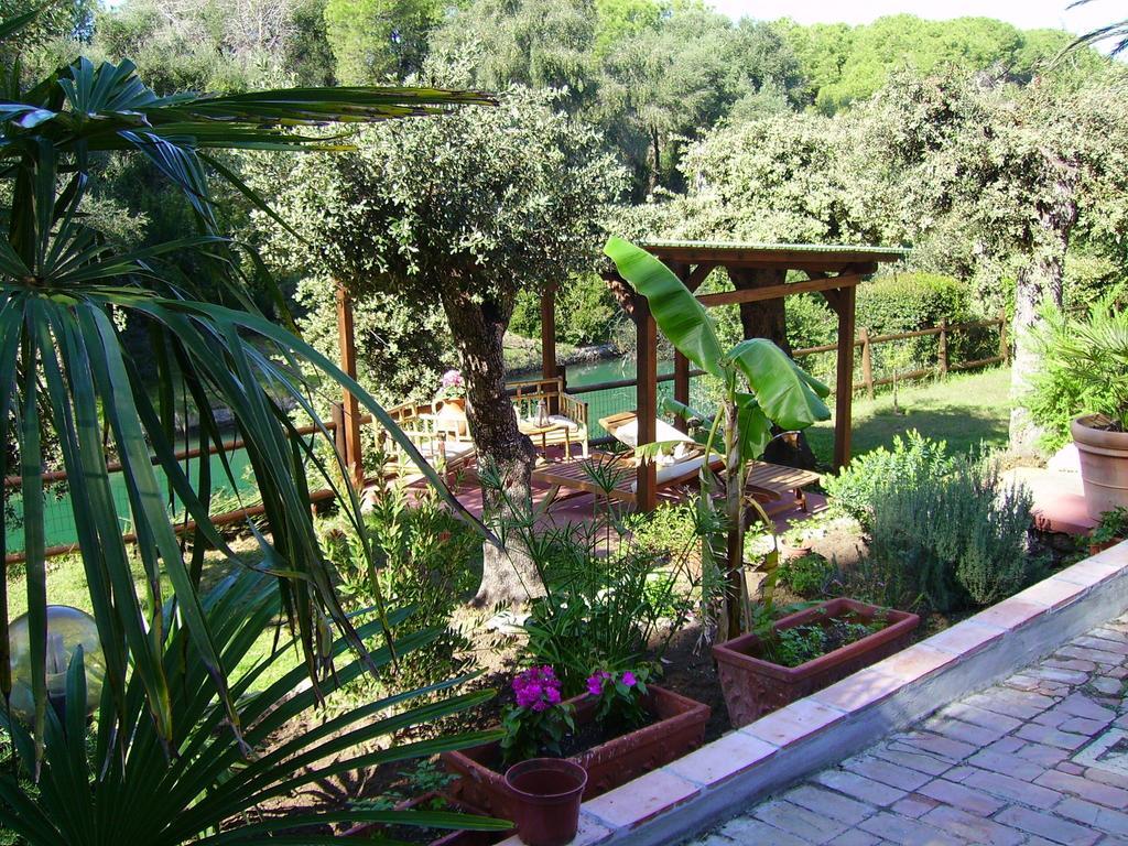 Villa Paradisino Orbetello Chambre photo