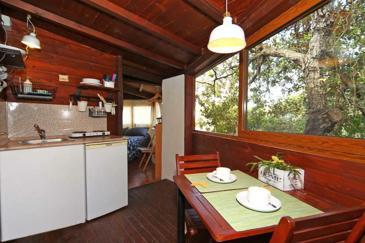 Villa Paradisino Orbetello Extérieur photo